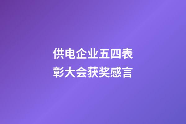 供电企业五四表彰大会获奖感言