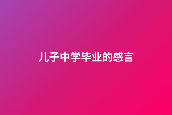 儿子中学毕业的感言