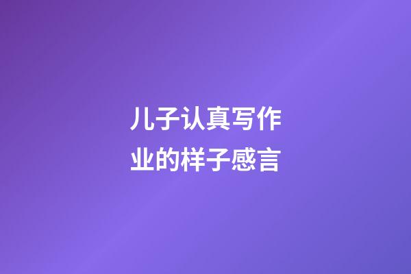 儿子认真写作业的样子感言