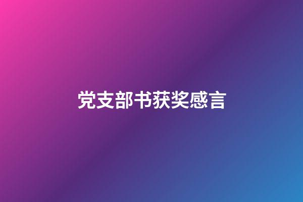 党支部书获奖感言