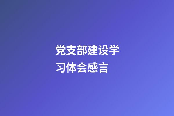 党支部建设学习体会感言