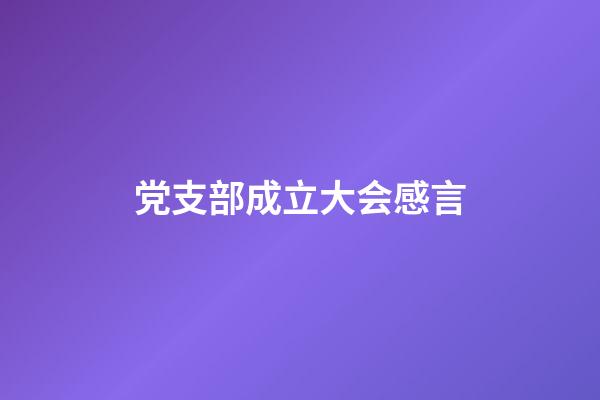党支部成立大会感言