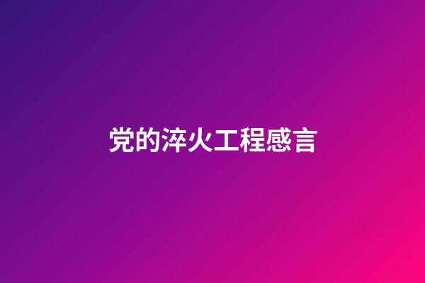 党的淬火工程感言