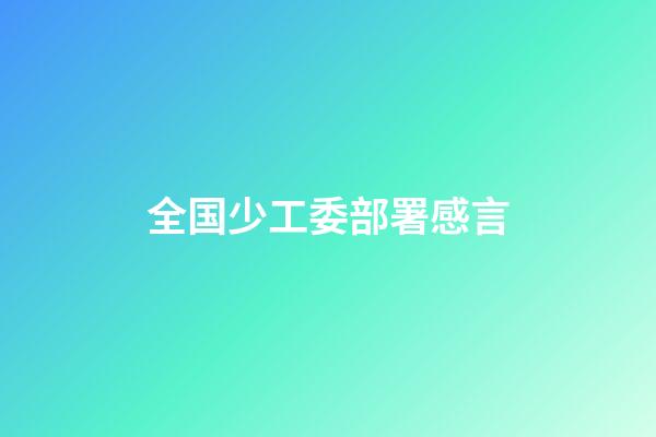 全国少工委部署感言