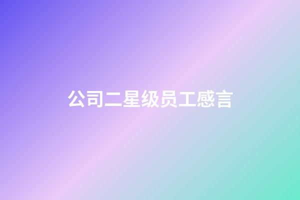 公司二星级员工感言