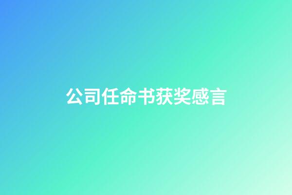 公司任命书获奖感言