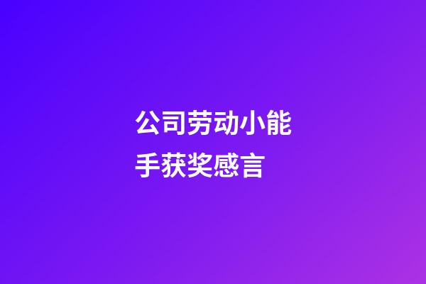 公司劳动小能手获奖感言