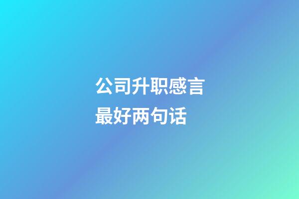 公司升职感言最好两句话