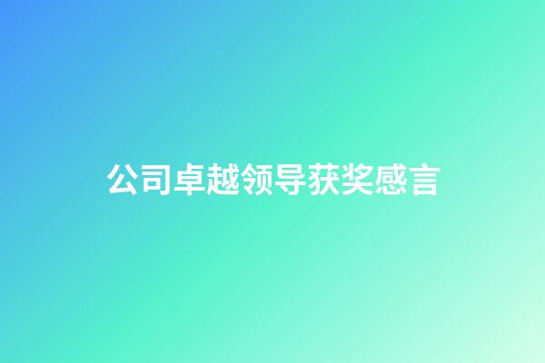 公司卓越领导获奖感言