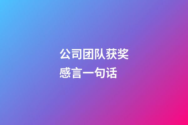 公司团队获奖感言一句话