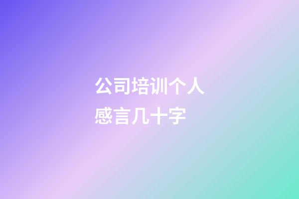 公司培训个人感言几十字