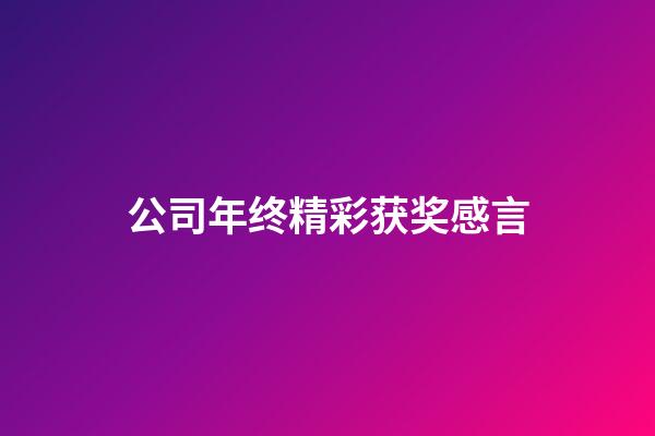 公司年终精彩获奖感言