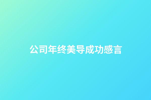 公司年终美导成功感言