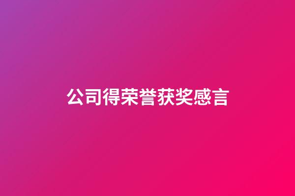 公司得荣誉获奖感言