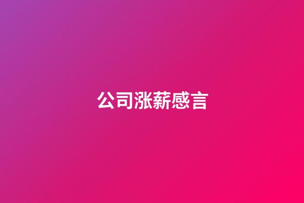公司涨薪感言