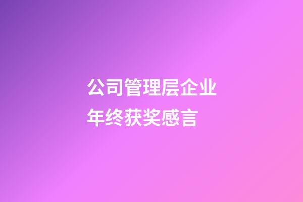公司管理层企业年终获奖感言