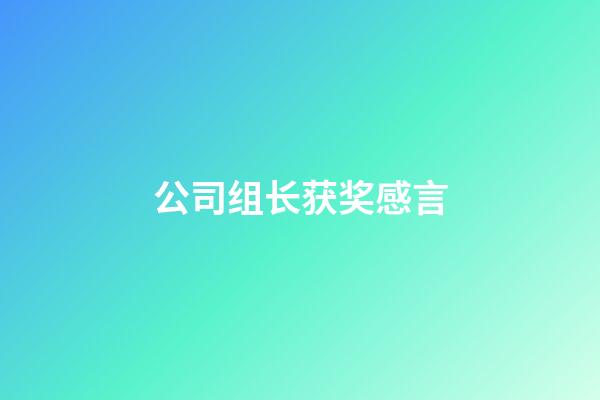 公司组长获奖感言