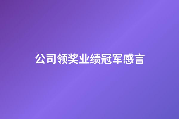 公司领奖业绩冠军感言