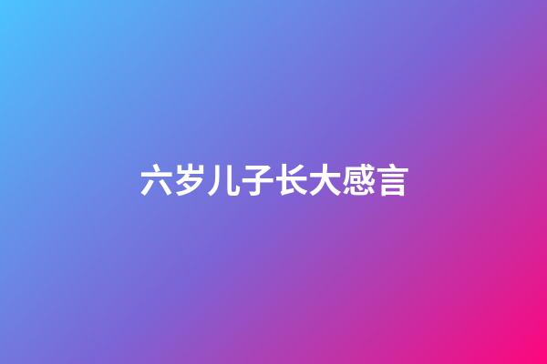 六岁儿子长大感言