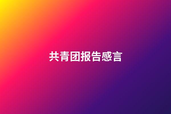共青团报告感言