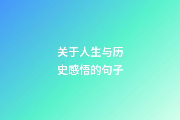 关于人生与历史感悟的句子