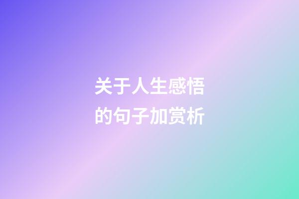 关于人生感悟的句子加赏析