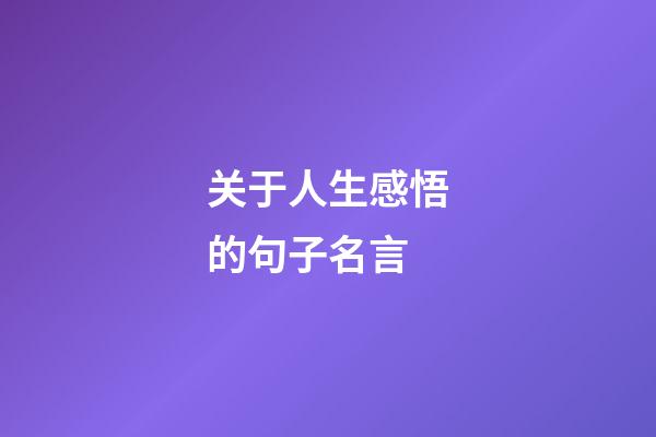 关于人生感悟的句子名言
