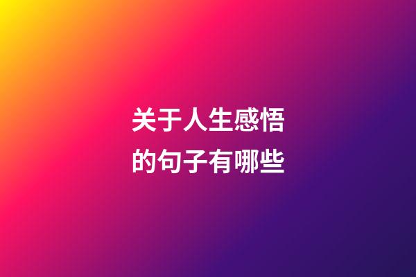 关于人生感悟的句子有哪些