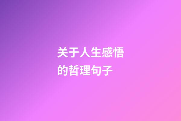 关于人生感悟的哲理句子