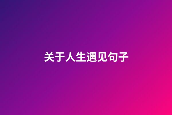 关于人生遇见句子