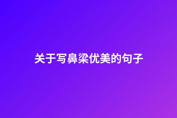 关于写鼻梁优美的句子