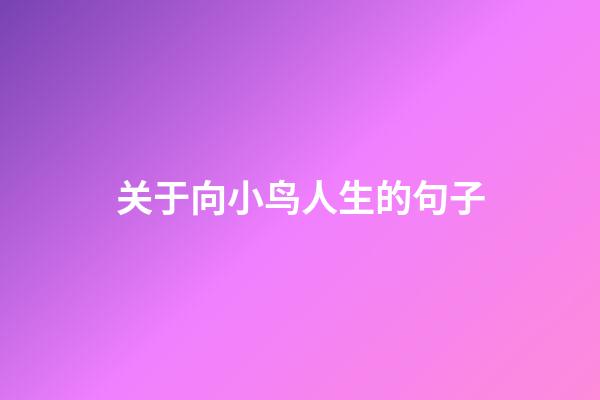 关于向小鸟人生的句子