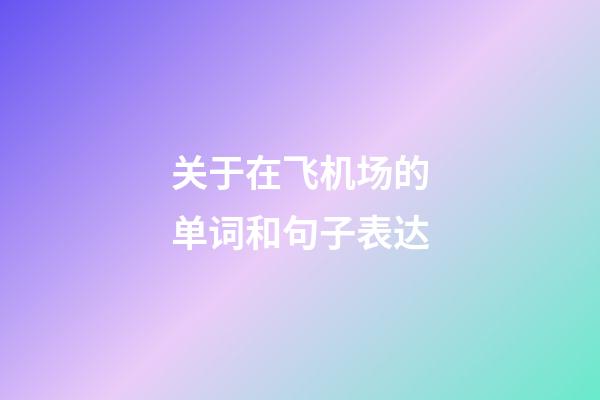 关于在飞机场的单词和句子表达