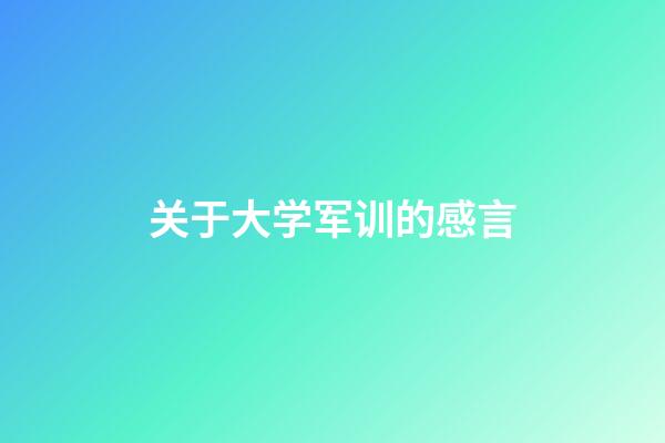 关于大学军训的感言