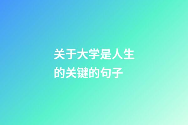 关于大学是人生的关键的句子
