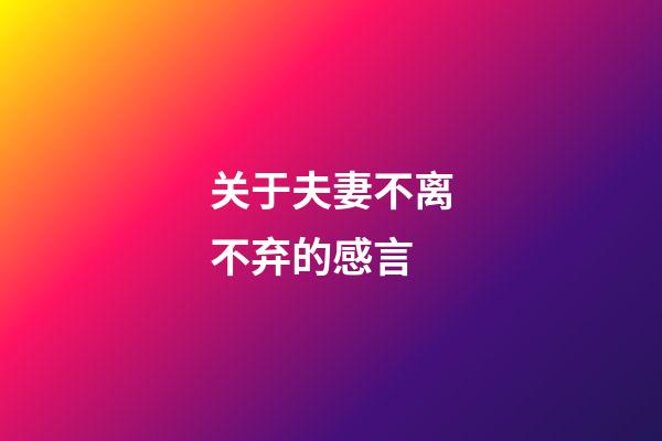 关于夫妻不离不弃的感言