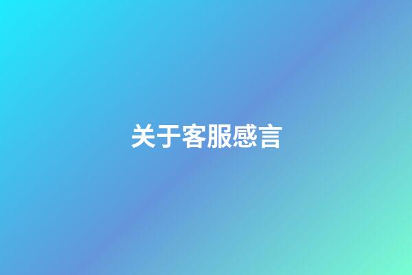 关于客服感言