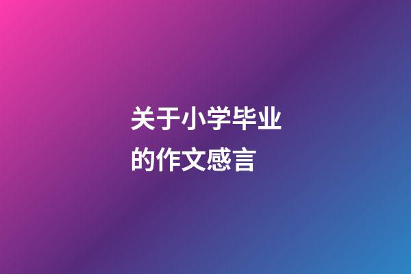 关于小学毕业的作文感言
