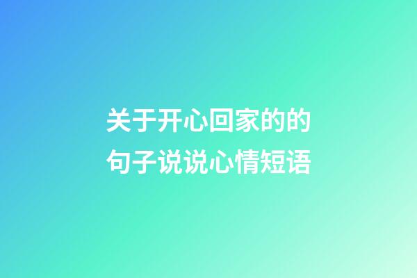 关于开心回家的的句子说说心情短语