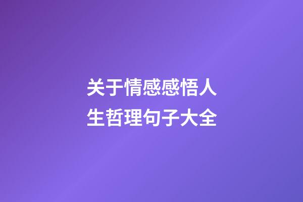 关于情感感悟人生哲理句子大全