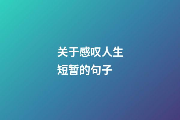 关于感叹人生短暂的句子