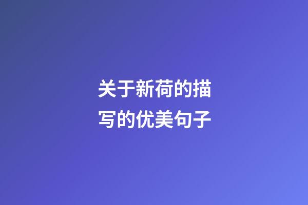 关于新荷的描写的优美句子