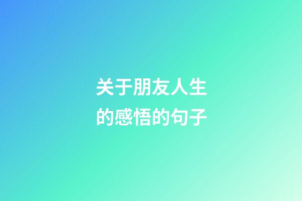 关于朋友人生的感悟的句子