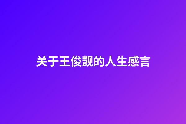 关于王俊觊的人生感言
