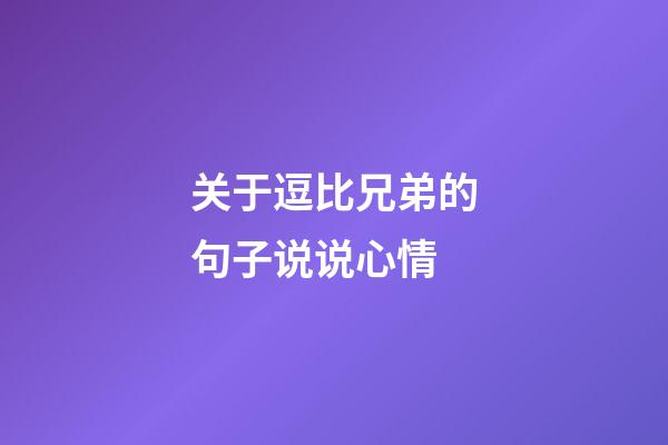 关于逗比兄弟的句子说说心情