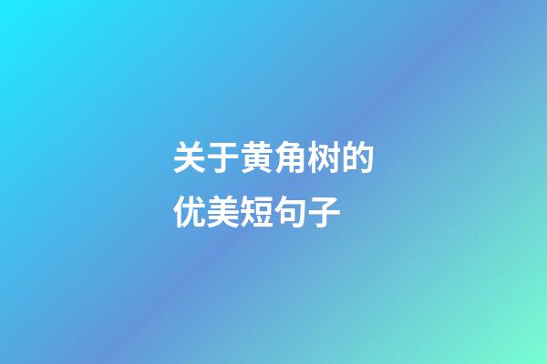 关于黄角树的优美短句子