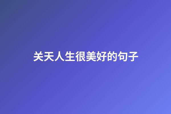 关天人生很美好的句子