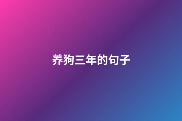 养狗三年的句子