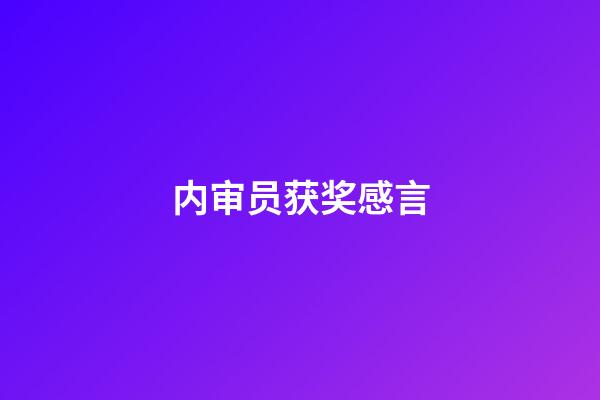 内审员获奖感言