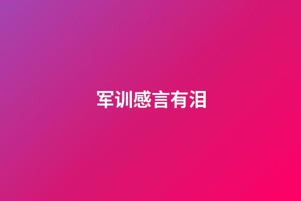军训感言有泪